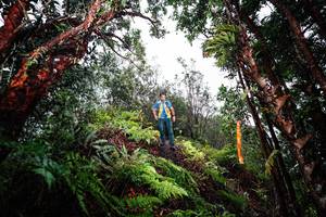 BIB: 
                            <button type="button" onclick="openModal(26205503)" class="btn btn-primary btn-sm float-right btn-popup" data-toggle="modal" data-target=".modal-high-quality">
                        <i class="fas fa-shopping-cart"></i> Add to Cart
                    </button>
                                            <button type="button" onclick="isThisMe(26205503, true)" class="btn btn-success btn-sm float-right btn-popup btn-isme hidden" data-toggle="tooltip" data-placement="bottom" title="นี่คือรูปของคุณใช่ไหม คลิกที่นี่เพื่อเอาเข้าอัลบั้ม">
                        <i class="fas fa-plus"></i> Add to album
                    </button>
                    <button type="button" onclick="isThisMe(26205503, false)" class="btn btn-warning btn-sm float-right btn-popup btn-isnotme hidden">
                        <i class="fas fa-ban"></i> Remove from album
                    </button>